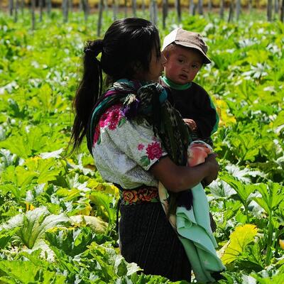 Cover of the report More than Words: Making Good on the Promise of the Central American Minors Refugee and Parole Program displaying a woman holding a child