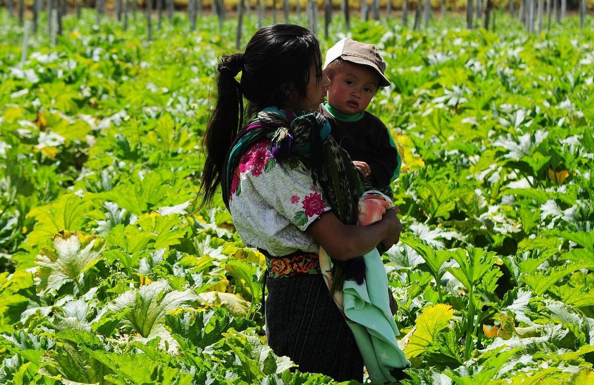 Cover of the report More than Words: Making Good on the Promise of the Central American Minors Refugee and Parole Program displaying a woman holding a child