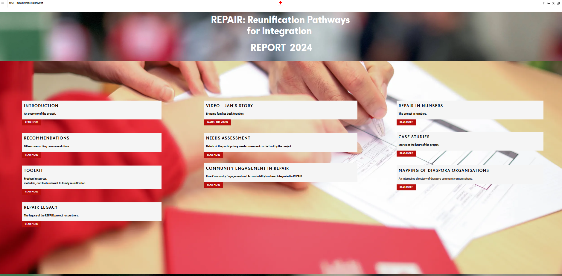 Screenshot of the REPAIR website